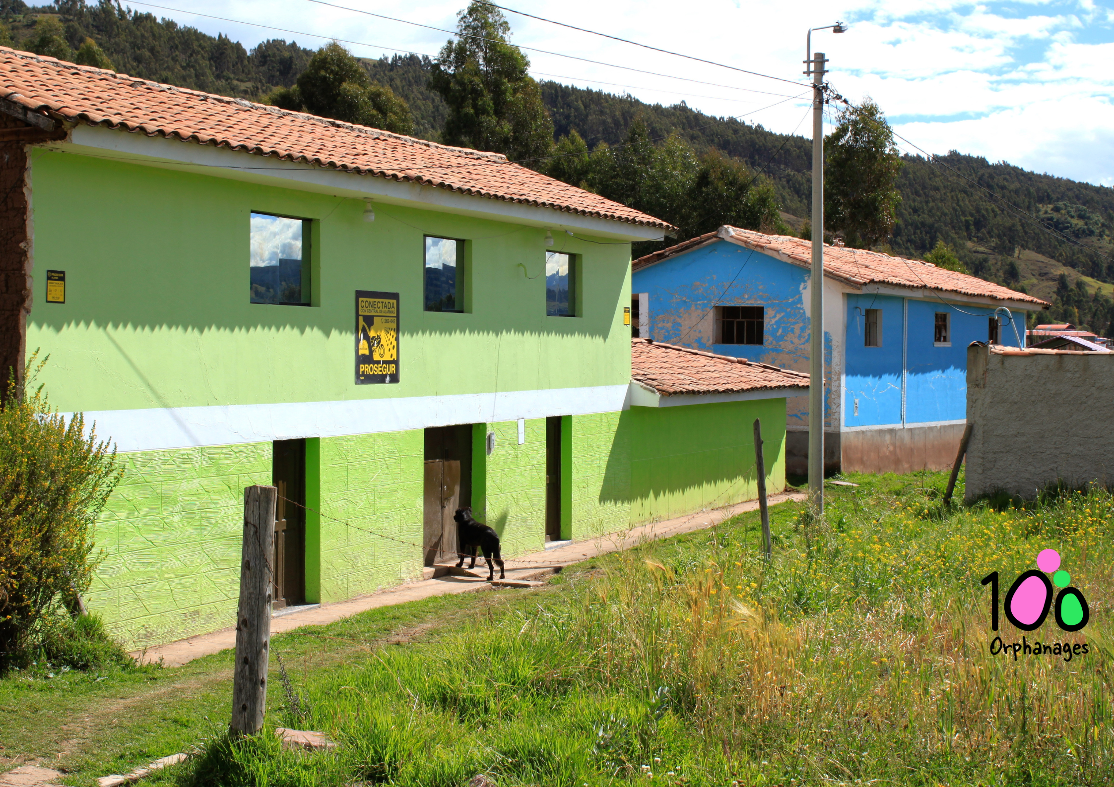 The Other Half of Education: Why Skills Matter as Much as Schooling